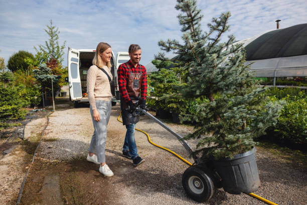 Lawn Renovation and Restoration in Heppner, OR